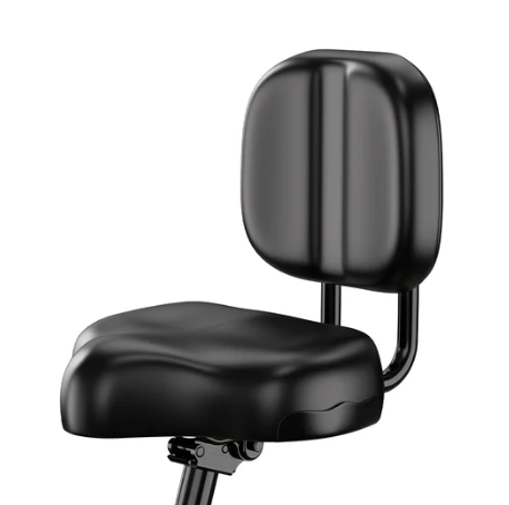 OT30 Pro- E-Trike