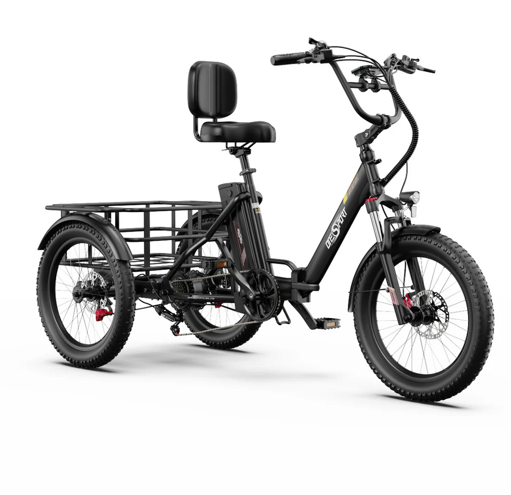 OT30 Pro- E-Trike
