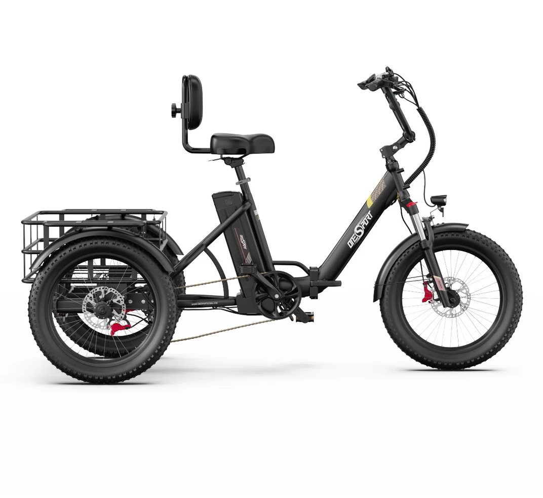 OT30 Pro- E-Trike