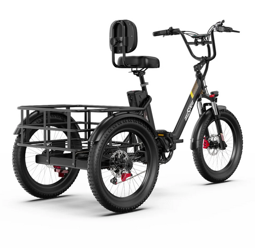 OT30 Pro- E-Trike